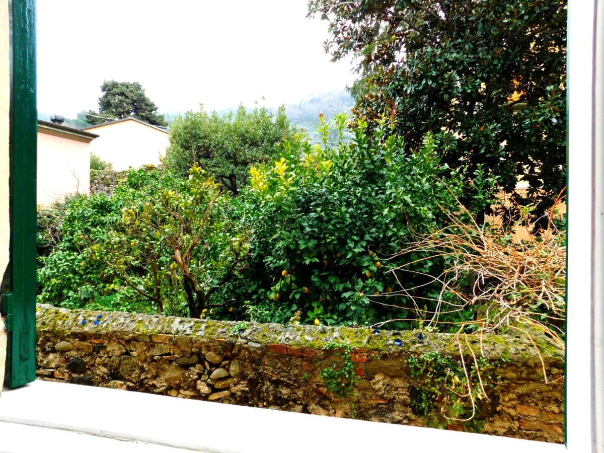 Bellissima Casa Nel Centro Storico!!! Daire Levanto Dış mekan fotoğraf