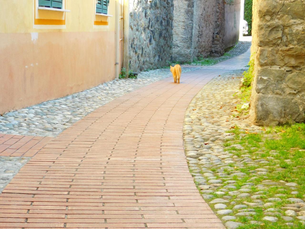 Bellissima Casa Nel Centro Storico!!! Daire Levanto Dış mekan fotoğraf